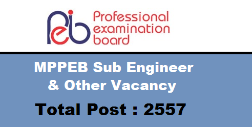 MPPEB sub engineer & other post 2022